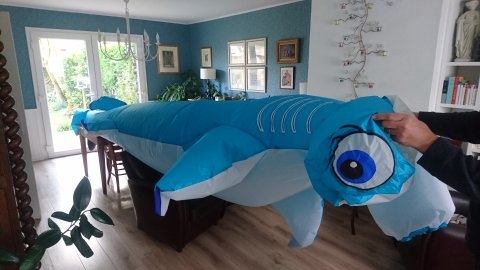 Requin gonflé en confinement 92236