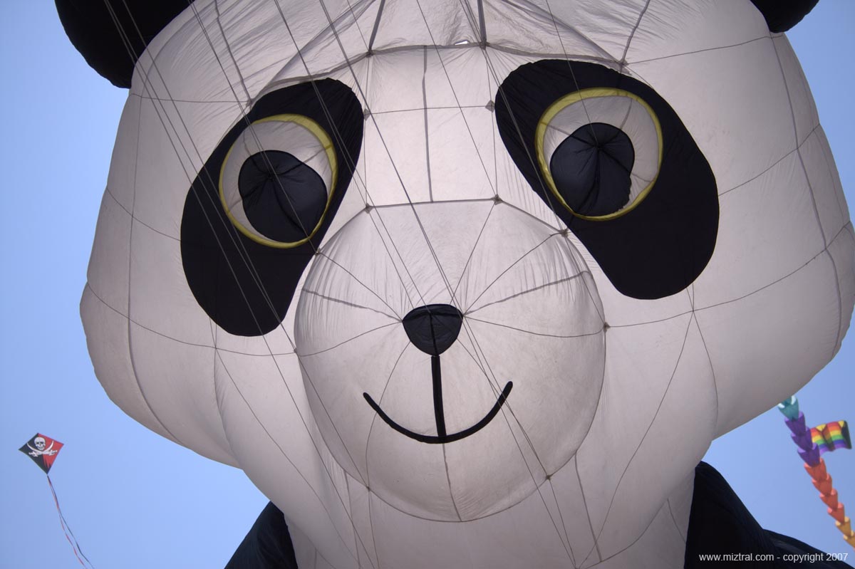 www.miztral.com__Festival_d_Hardelot_2007_B_26.jpg