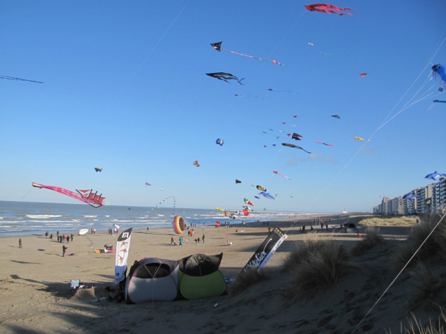 Groen 2015 001  1e489