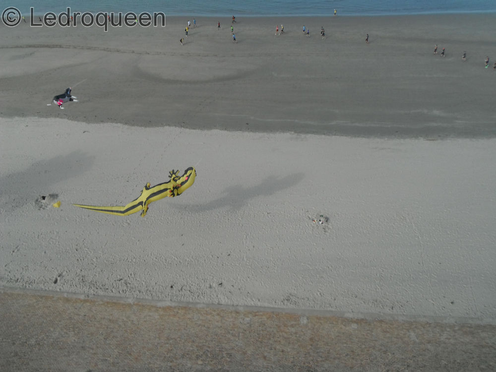 leffrinckoucke 2015 38 e0333