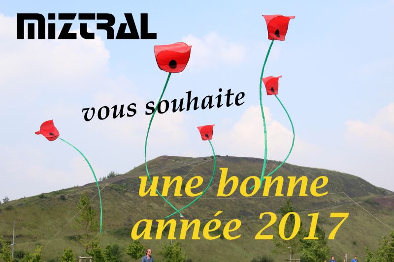 Bon année 2017