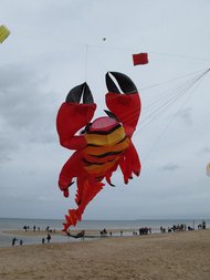 le scorpion Statique Scorpion DSK 8c117