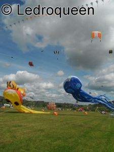 festival rouvroy 2014 39 97a1c