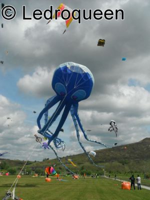 festival rouvroy 2014 45 54b00