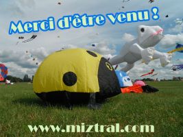 thumb remerciement cviste b757e