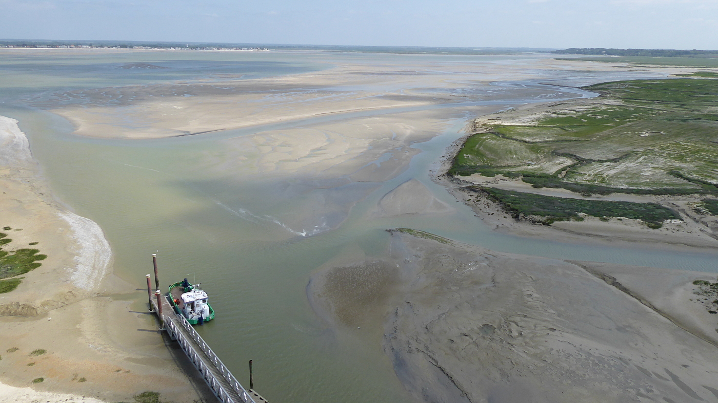Baie de Somme le Hourdel 02 5185e