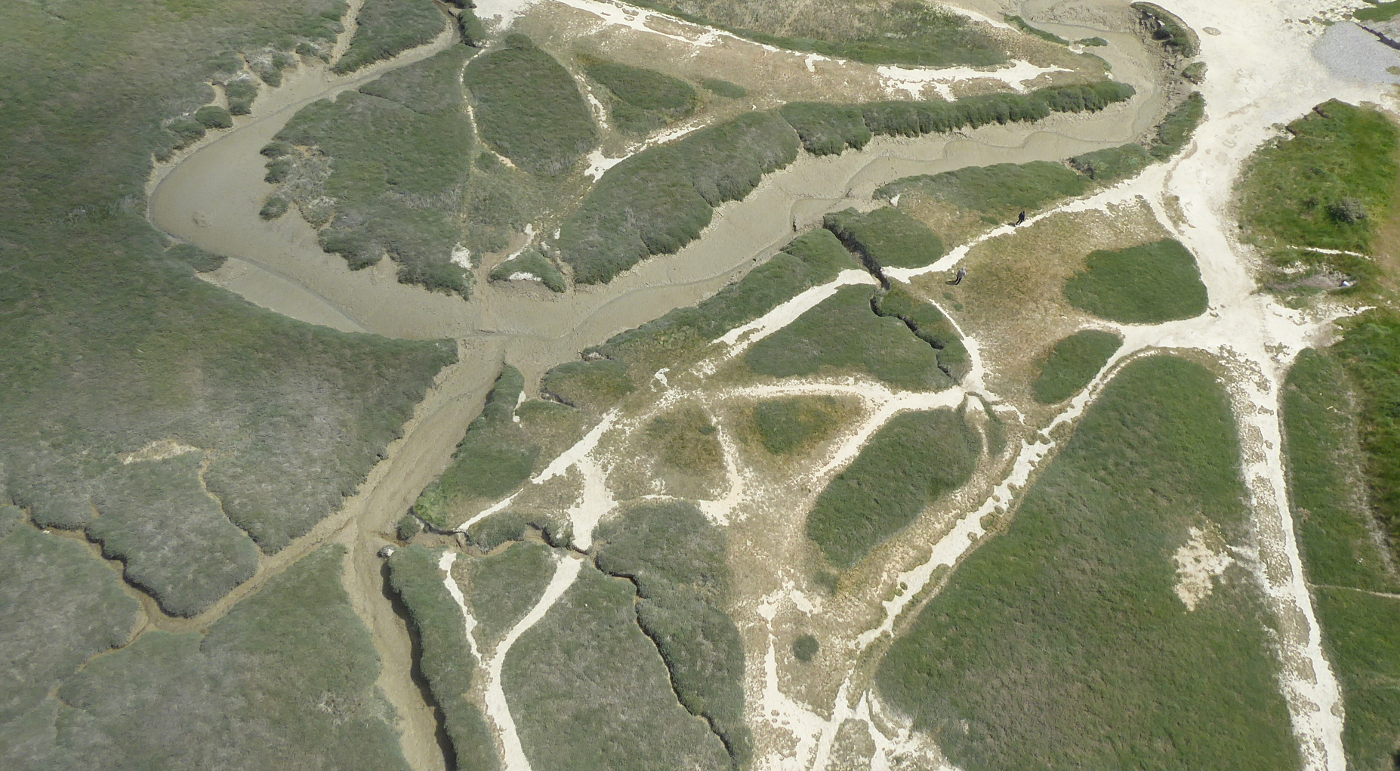 Hourdel les éstrans 10 84a86