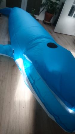 Baleine gonflée en confinement01 7734b